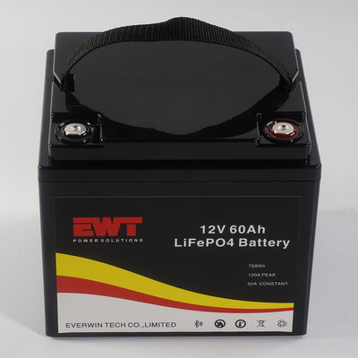 カスタマイズされたロゴ 12V 60AH LiFePo4 バッテリー ストレージボックス LEDライトのための金属ケース 4000 作業サイクル